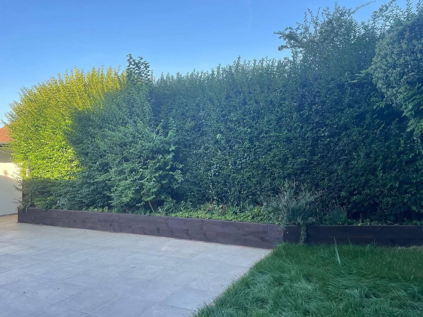 Timber retaining wall with hedge boundary